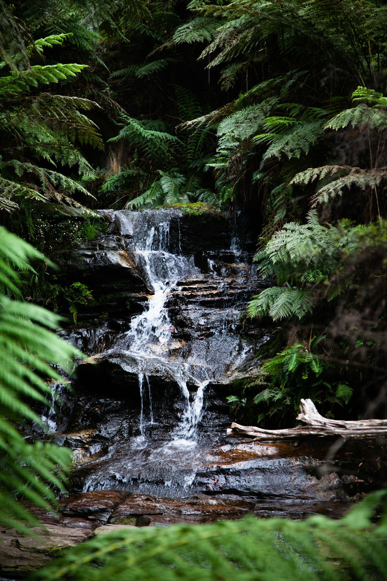 Cascade du Pissieu dans le massif des Bauges, Savoie