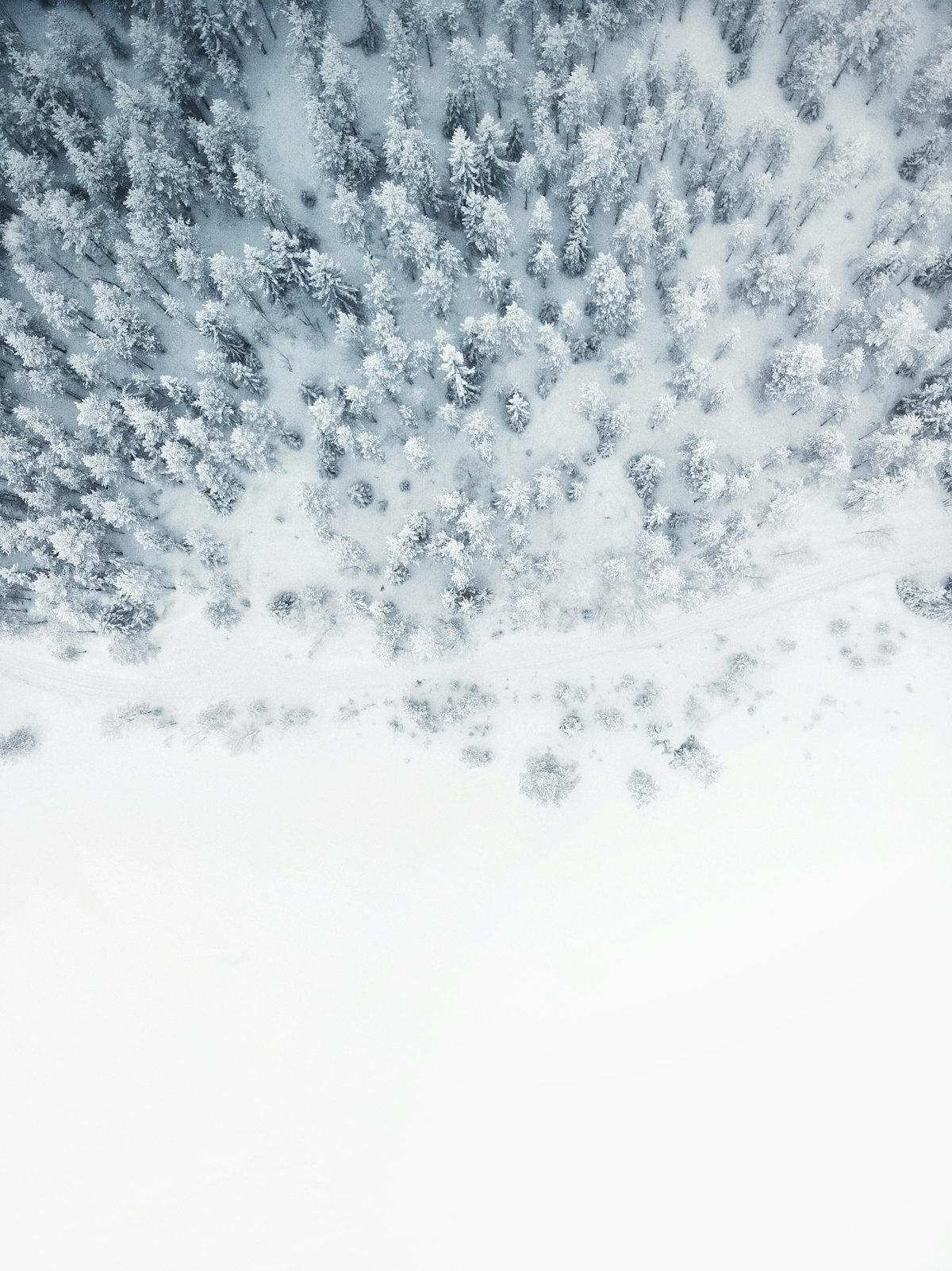 Foresta coperta di neve vista dall'alto a La Plagne