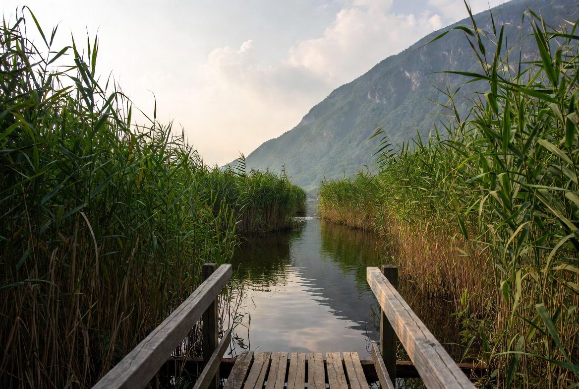 Plan d'eau et zone humide du lac des Hurtières, Maurienne