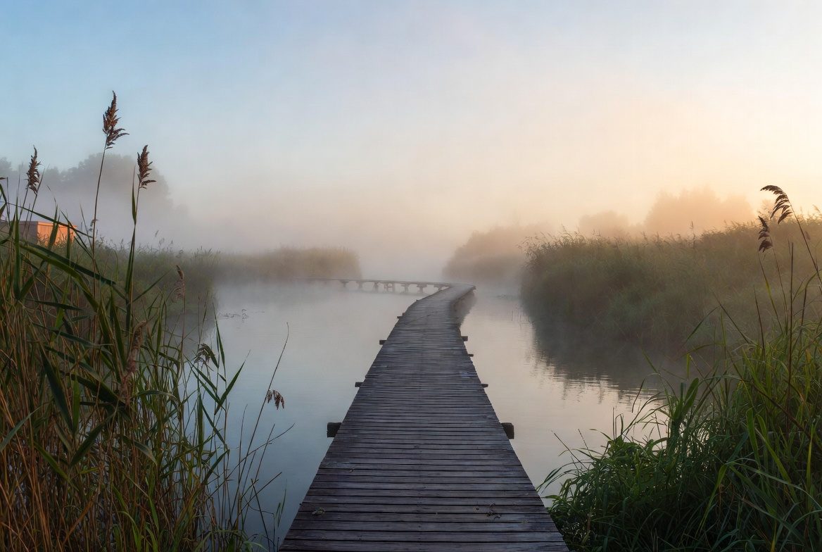 Passeggiare attraverso il bog Saisies all'alba, Beaufortain