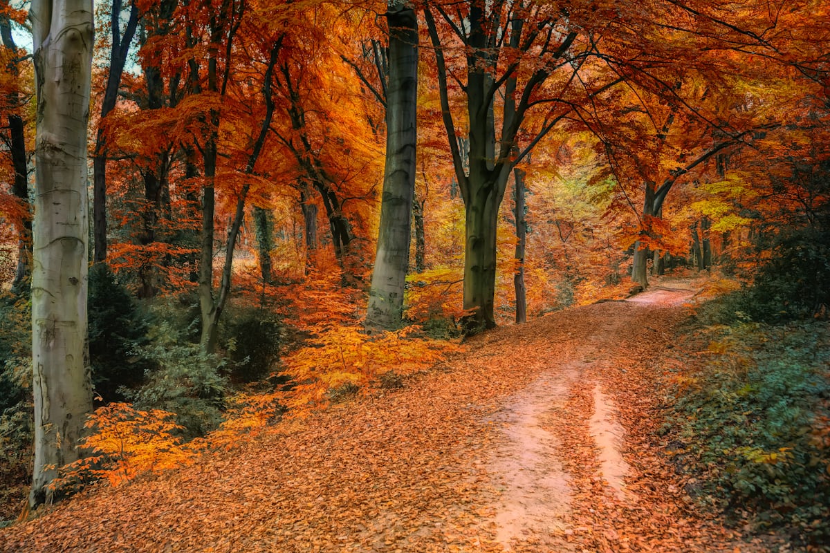 Lac de la Plagne
