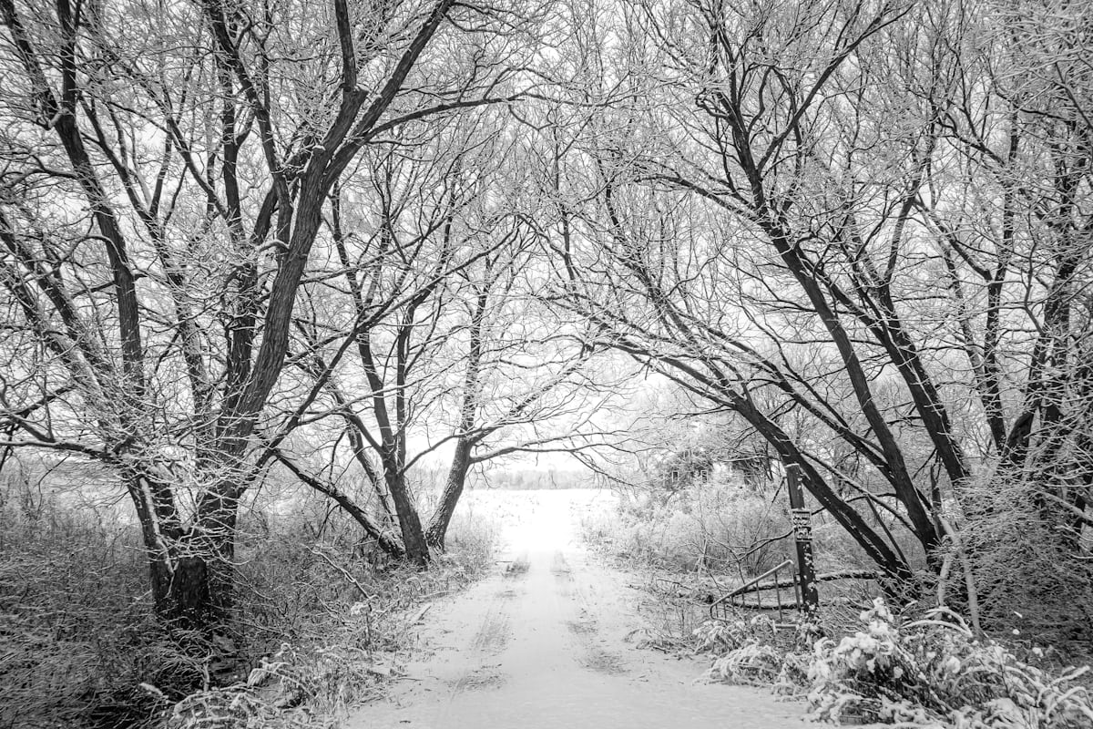 Sentiero invernale nevoso a Les Saisies, Beaufortain