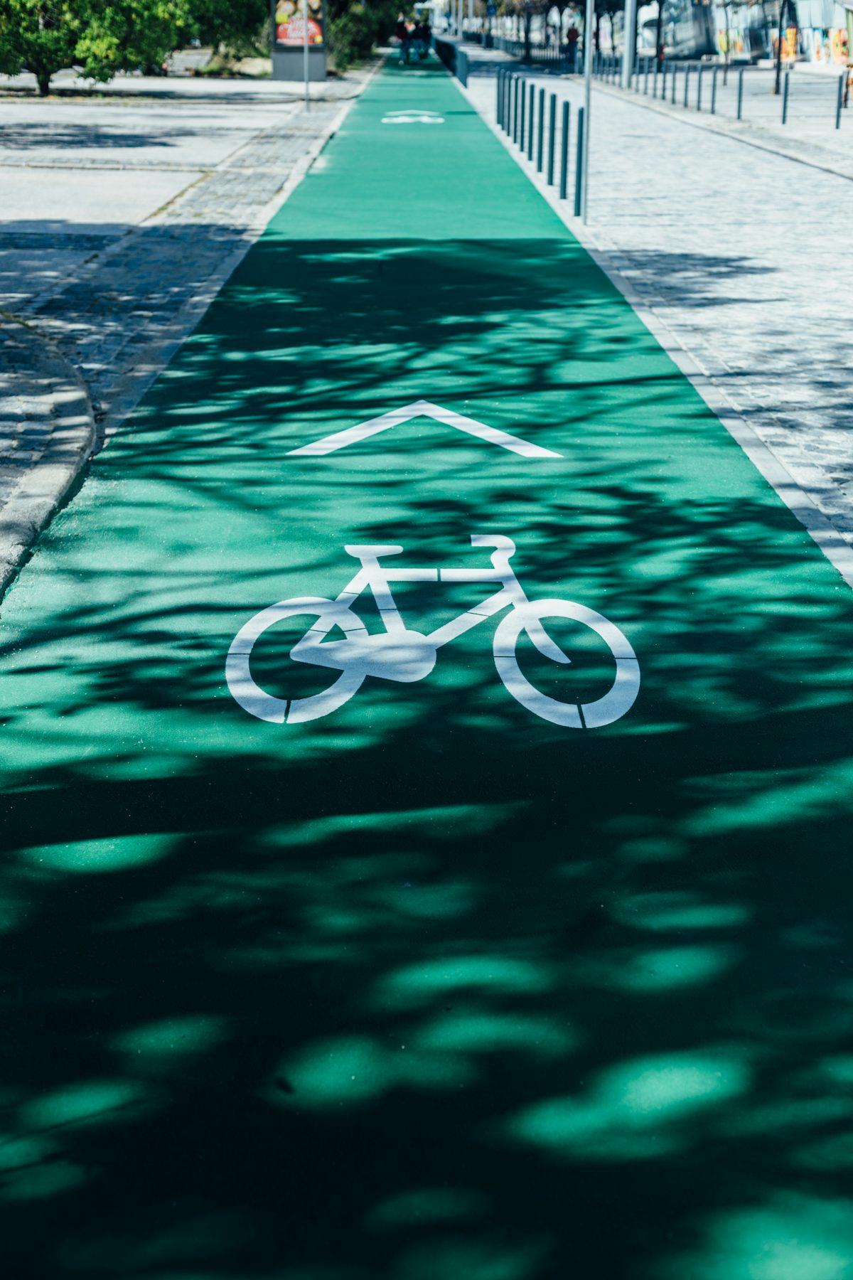 Asphalted greenway along the Isère in the Tarentaise